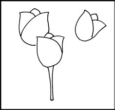 怎样画简笔画（花卉）：[1]郁金香