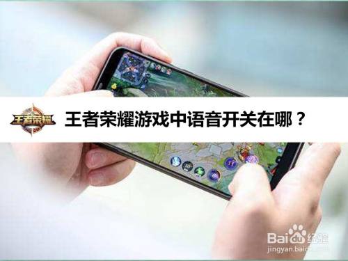 王者荣耀游戏中语音开关在哪