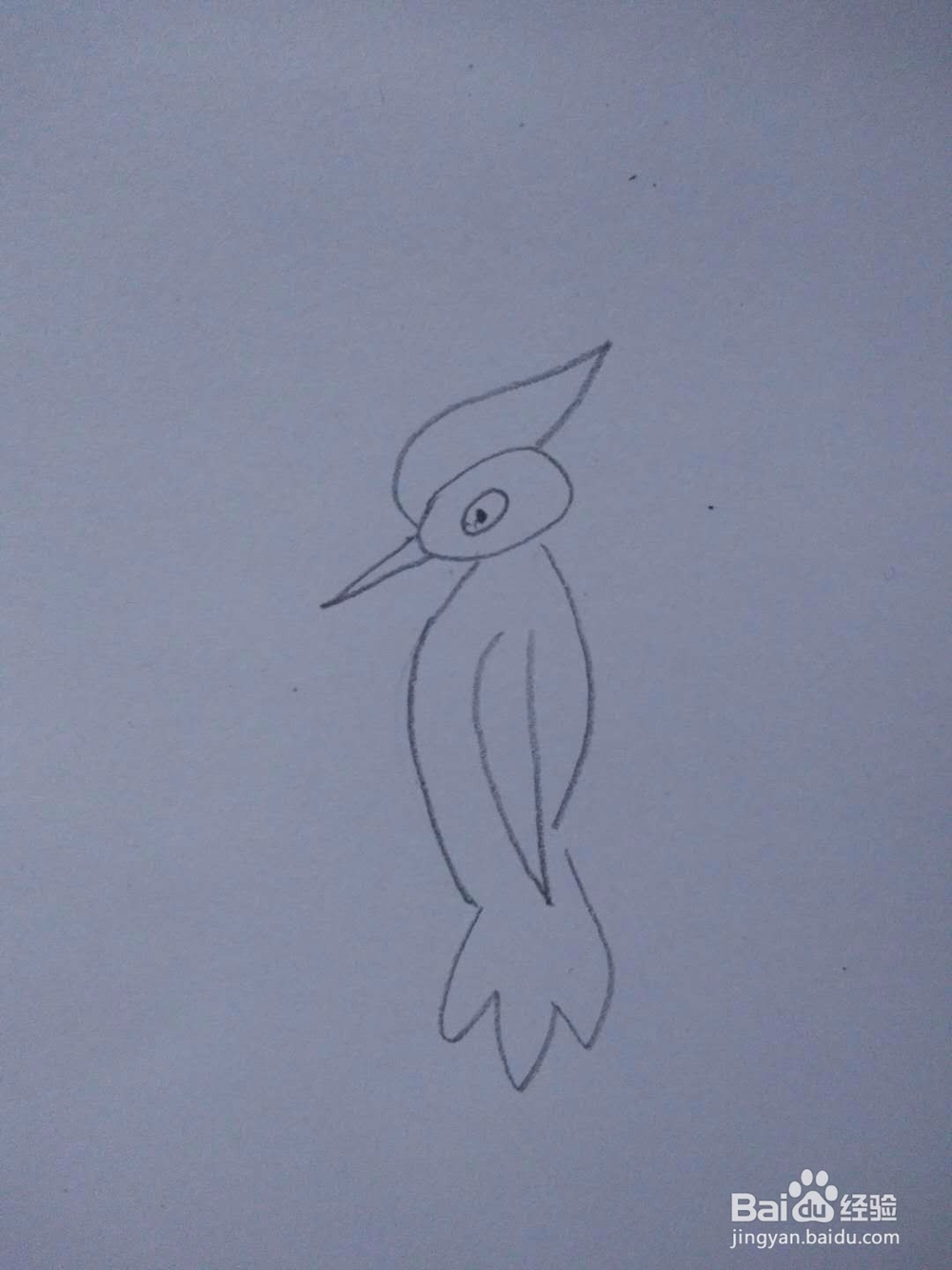 简笔画-如何画啄木鸟的简笔画?