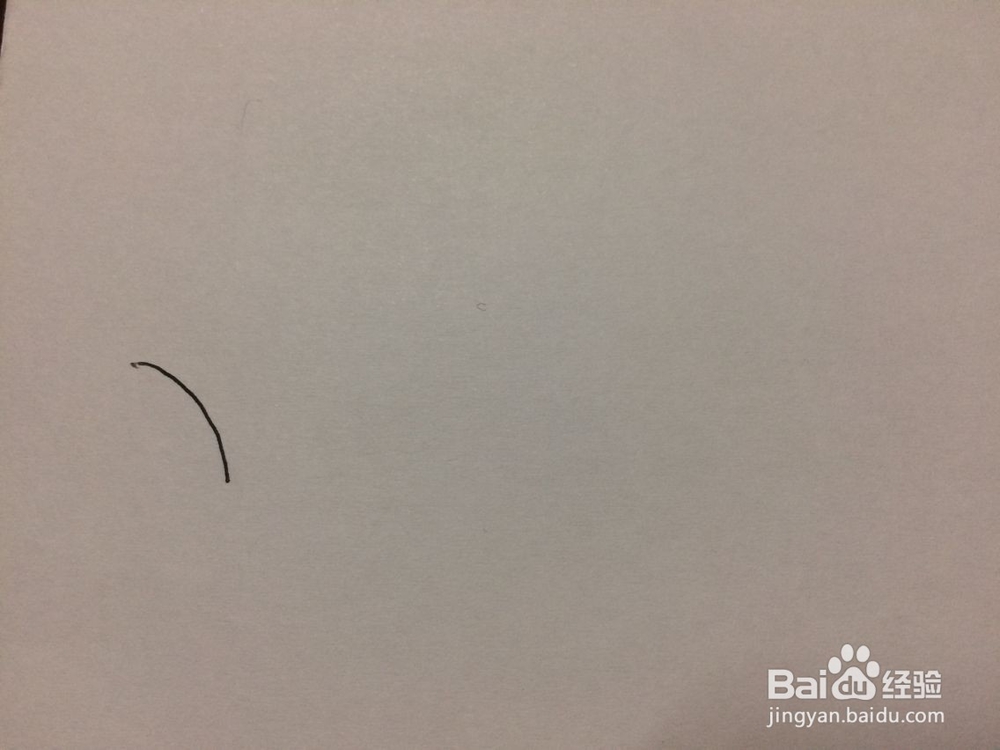 黑板报小花插图的画法