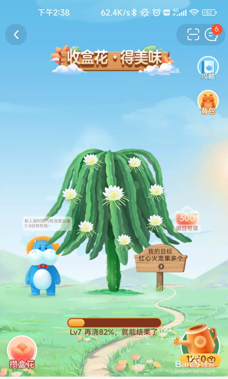 盒马app怎么打开盒马小镇