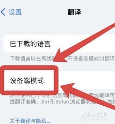 怎么开启苹果翻译设备端模式?