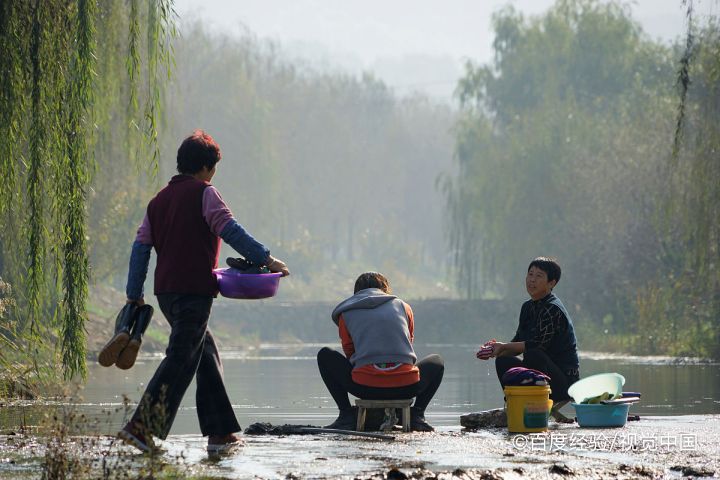 有什么家务可以做