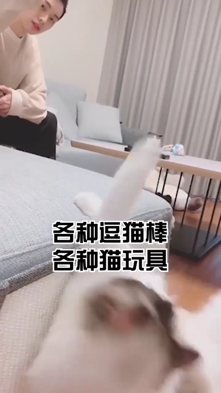 猫咪为什么爱吃塑料袋？