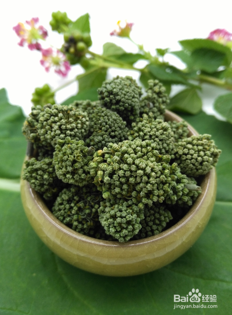 三七粉和三七花区别在哪里