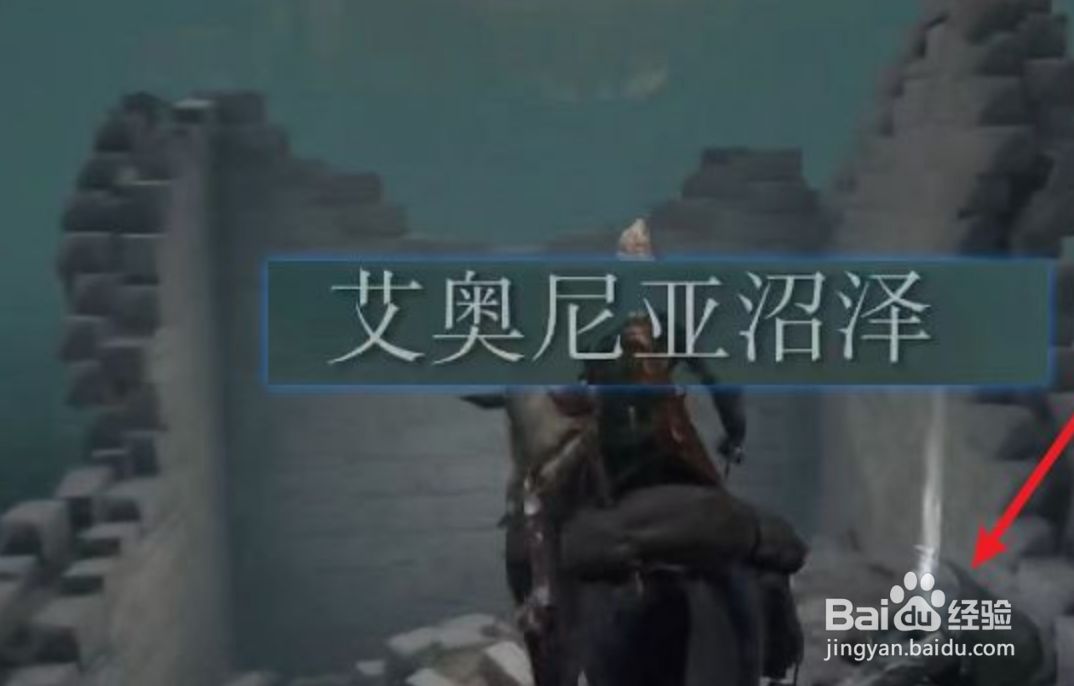 艾尔登法环腐败野狗的骨灰怎么获得