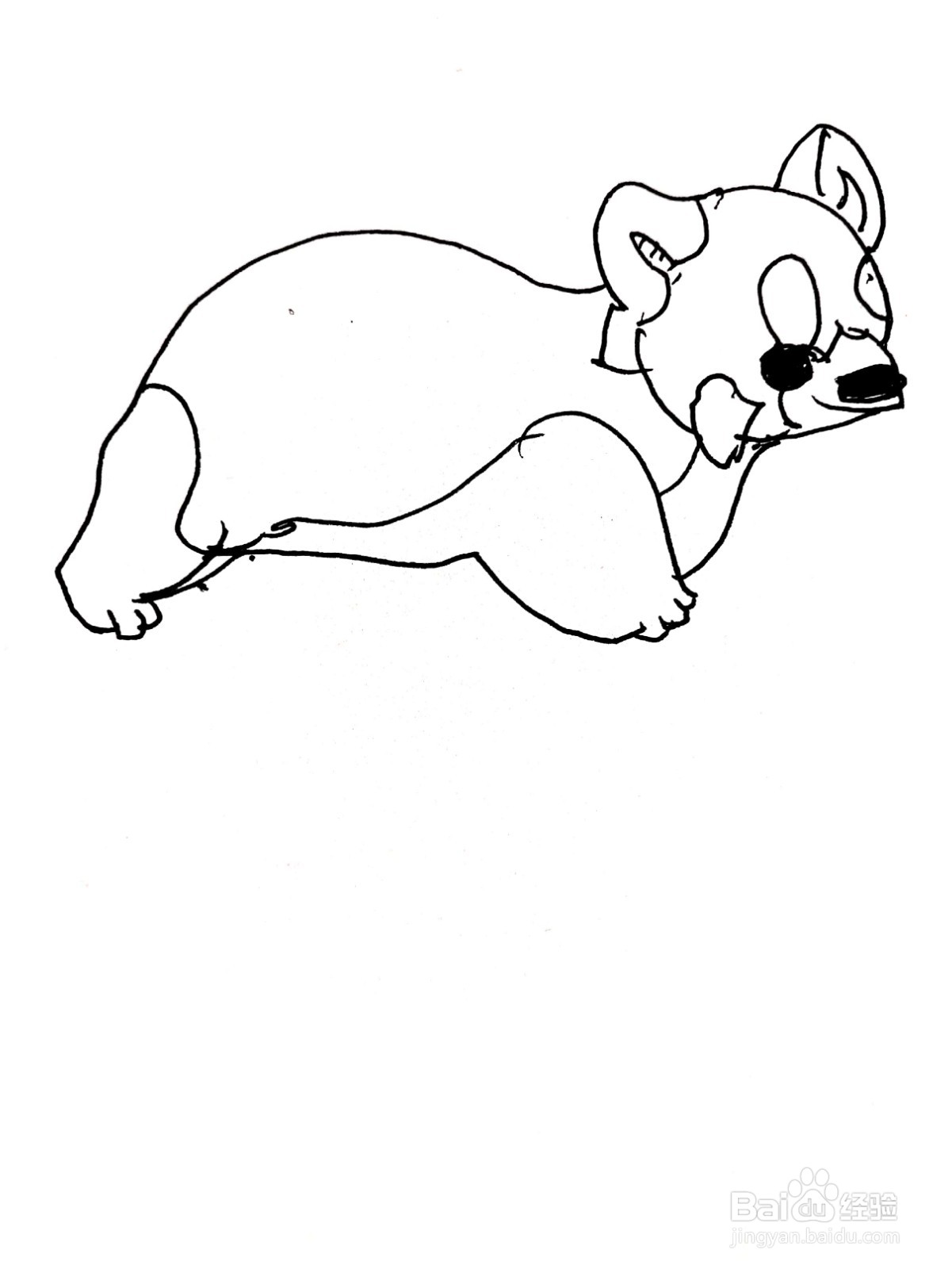 正在散步的小浣熊线描画怎么画