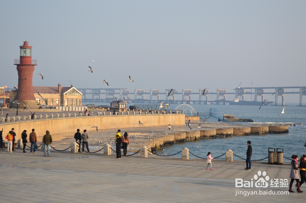 大连一日游攻略