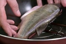 怎么做清蒸鲈鱼