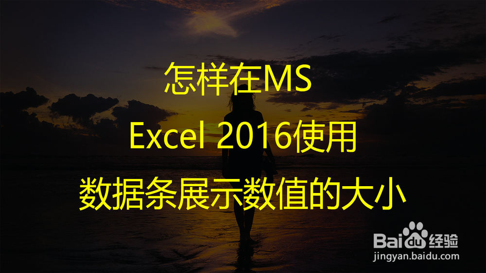 <b>怎样在MS Excel 2016使用数据条展示数值的大小</b>