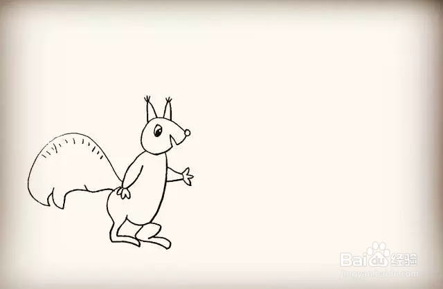 简笔画怎么画可爱小松鼠？