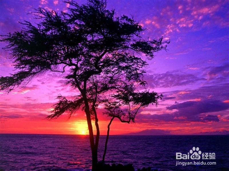 怎样在淘宝上开店?