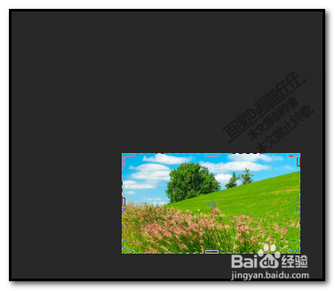 如何用photoshop截图?