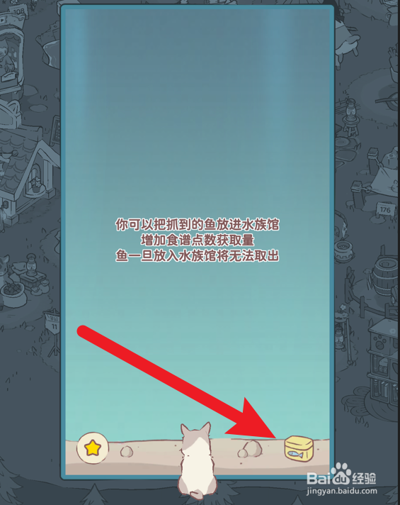 猫咪和汤怎么出售深海鹦鹉鱼