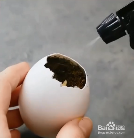 如何把鸡蛋壳废物利用