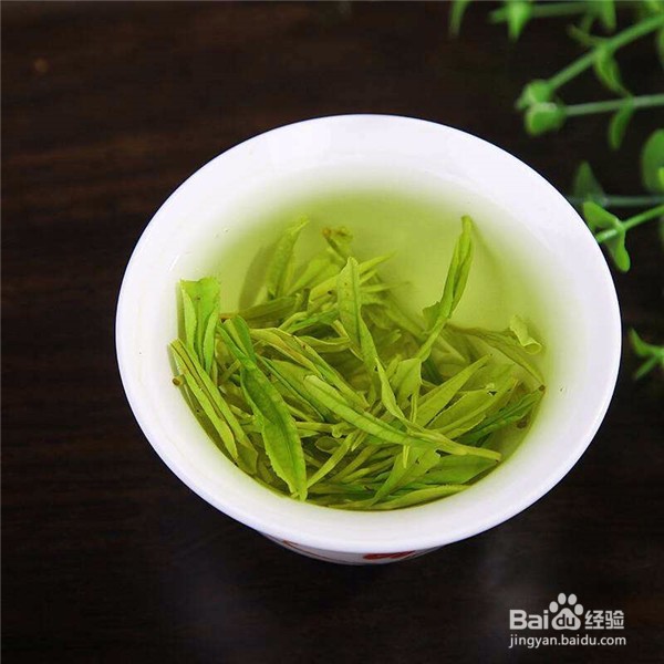 绿茶有哪些营养,对人体有哪些益处