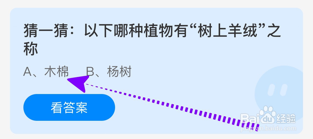 猜一猜:以下哪种植物有“树上羊绒”之称