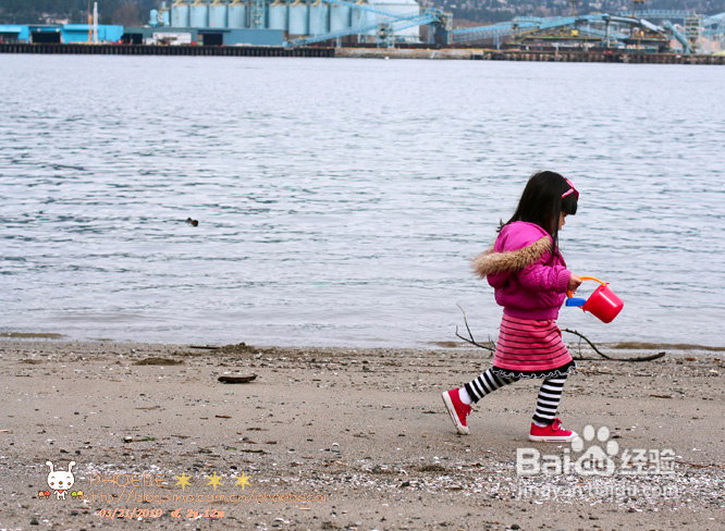 拾海的孩子&亲亲小动物(组图)