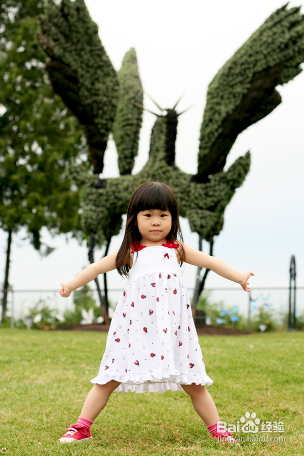 温哥华夜幕下的玫瑰园(组图)