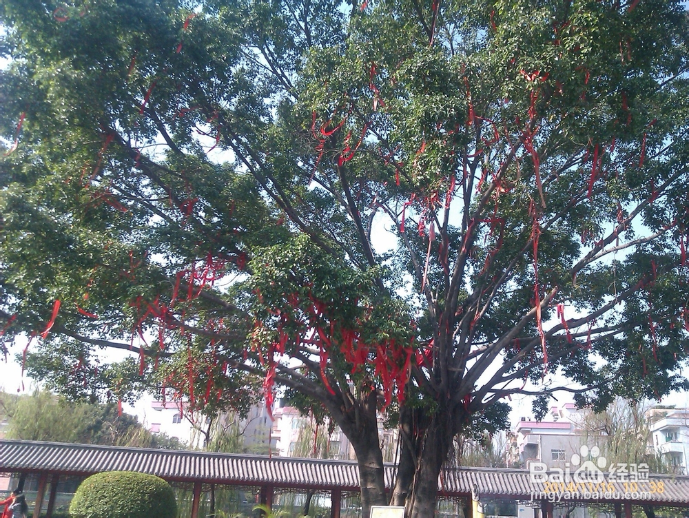 如何理性消费之改变有钱就任性消费的不良习惯