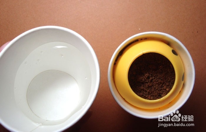 如何教孩子学会种小草