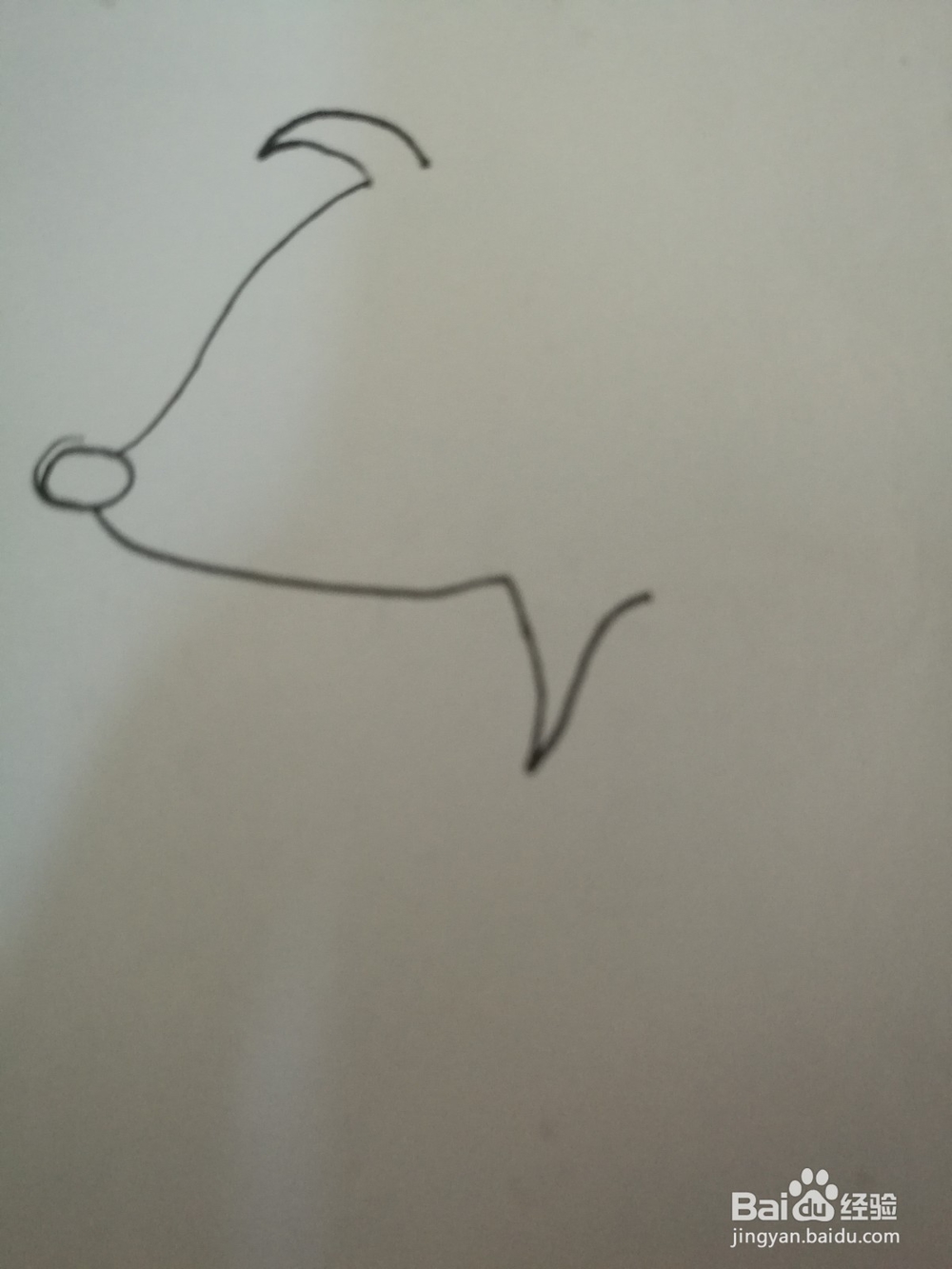 如何画一只卡通猪的简笔画