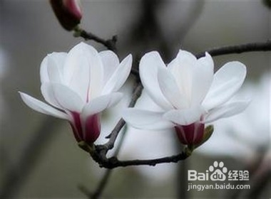 怎样正确对待爱和欲？