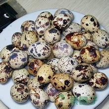 鹌鹑蛋可以缓解失眠