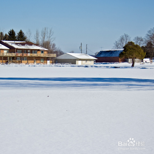 茉莉花怎样养殖，长得比较好？