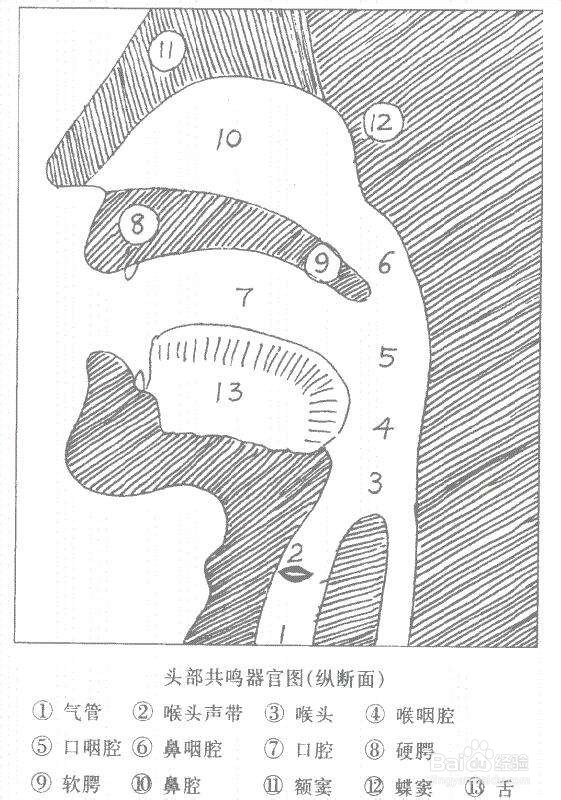 声乐演唱中如何产生共鸣并进行自我支配调整