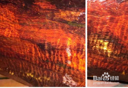 顶级小叶紫檀什么样