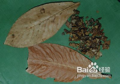 另类中药的煎煮方法
