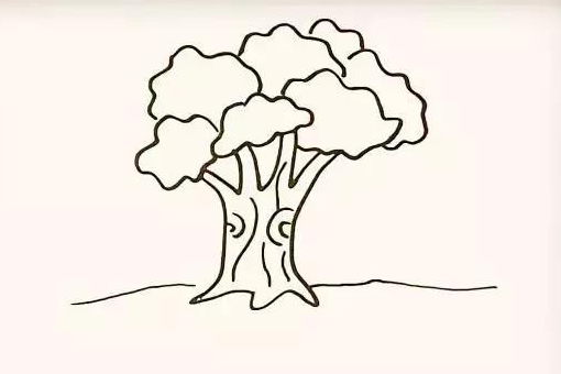 树的简笔画怎么画