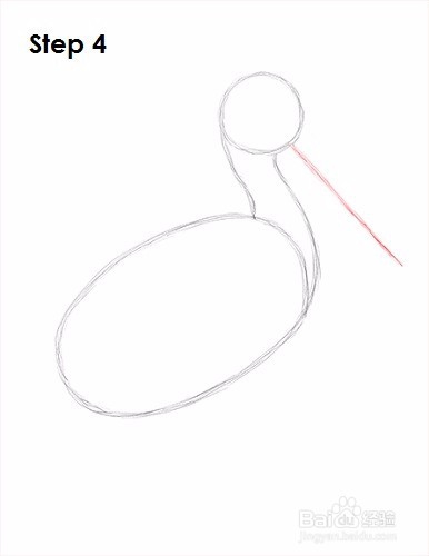 如何画一只鹈鹕——加菲的吃货生活