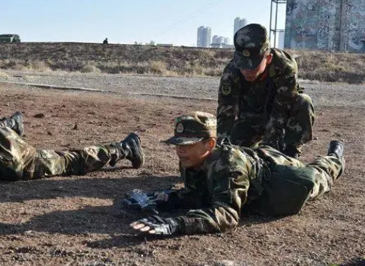 新兵连苦还是下连苦