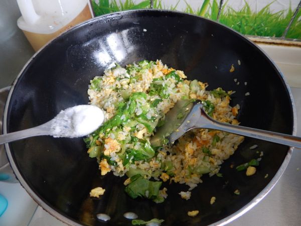西红柿生菜焗饭
