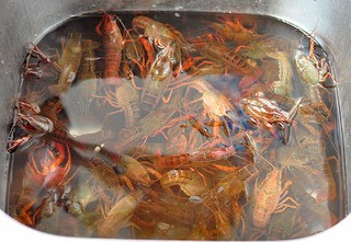 香辣小龙虾制作方法
