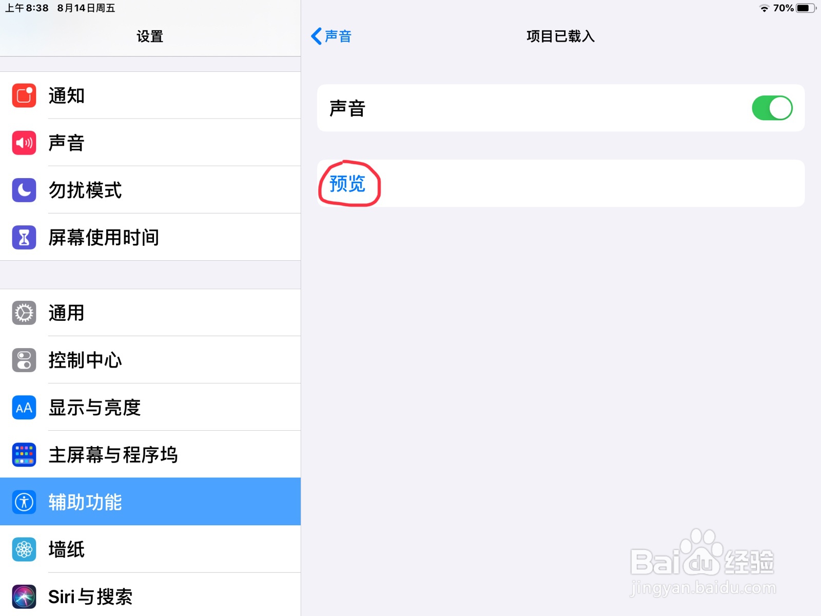 iPad怎么在旁白设置项目已载入的预览