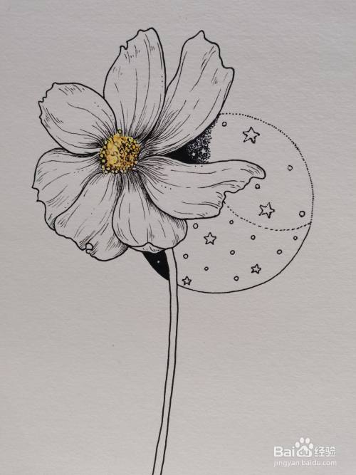 怎样画线描装饰画 花 百度经验