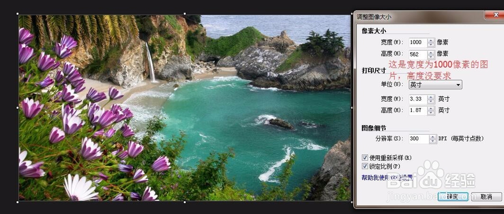 如何利用Snagit编辑器快速设计网页中的图片