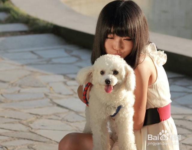 狗尿味一天会消散吗？