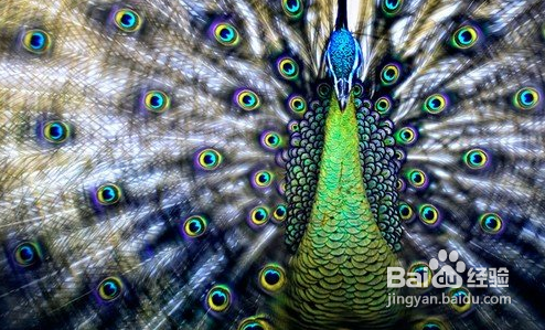 8招适合摄影新手的晋级宝典