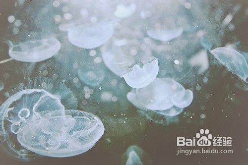 肝硬化有什么症状、、、、、、