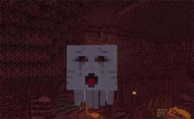 我的世界恶魂属性