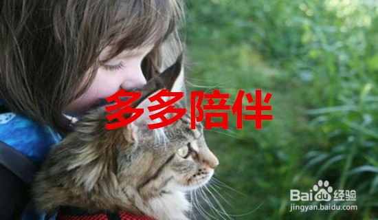 #新人打卡#猫不亲人怎么办
