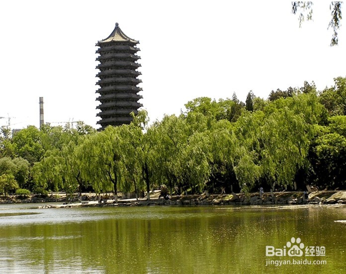 大学专业应该怎样选择