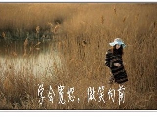 霍比特人3五军之战精灵矮人合力抗击兽人