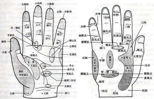 超详细手掌穴位图解