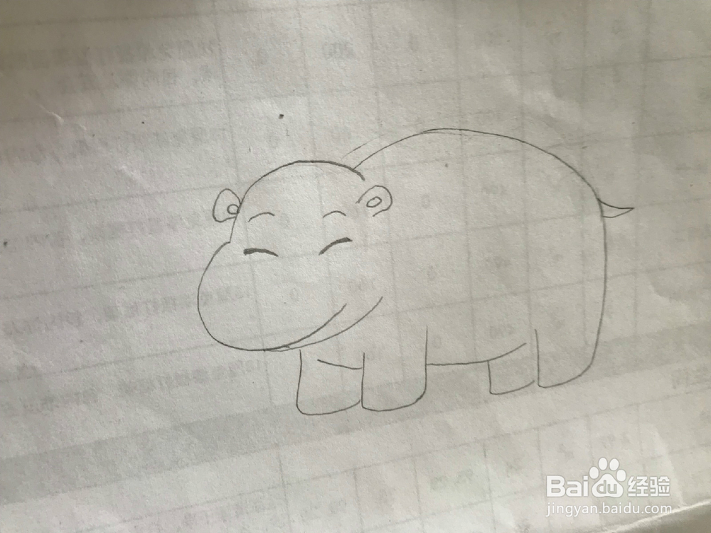 简笔画之大河马