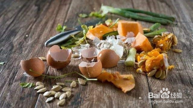 消费者怎样减少食物浪费